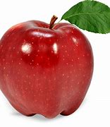 Image result for Apple Fruit Images Download