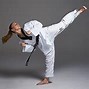 Image result for Taekwondo Materials and Equipment