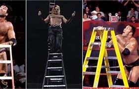 Image result for Ladder Match Hulk
