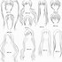 Image result for Anime Haircut