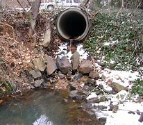 Image result for Cricket Drain