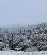 Image result for Arizona Winter