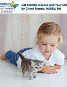 Image result for Cat Scratch Toys