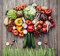 Image result for Vegetarian Pics