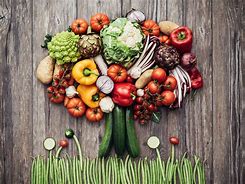 Image result for Vegetarian Life