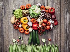 Image result for Plant-Based Vegan Foods