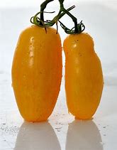 Image result for Banana Leg Tomatoes