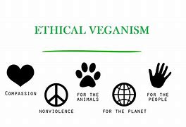 Image result for Veganism vs Vegetarianism