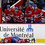 Image result for Ice Hockey Injuries