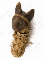 Image result for Mummified Cat Tail