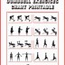 Image result for Arm Workout Chart