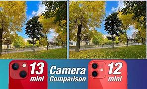 Image result for iPhone 12 Mini vs Pixel 8