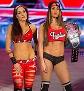 Image result for Nikki Bella and Twin Sister
