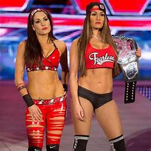 Image result for Brie and Nikki Bella Hooter