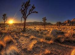 Image result for Arizona Desert Desktop