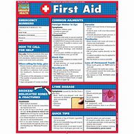 Image result for First Aid Booklet Printable