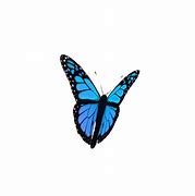 Image result for Butterfly Sticker GIF