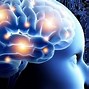 Image result for Whole Brain Theory Detailed Mind Map