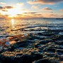 Image result for San Diego Beach at Night