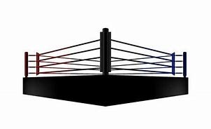 Image result for Wrestling Ring Silhouette