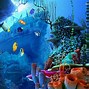 Image result for Cool Underwater