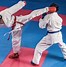 Image result for Fear in the Martial Arts