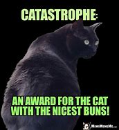 Image result for British Cat Meme