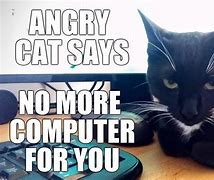 Image result for Angry at Computer Meme