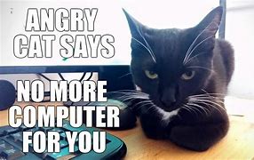 Image result for Computer Says No Meme