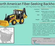 Image result for Fiber Optic Cable Core Meme