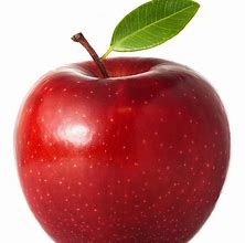 Image result for Appel Fruit