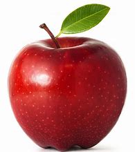Image result for Image of Apple Fruit