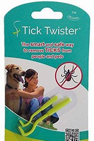 Image result for Embedded Tick On Dog