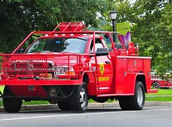 Image result for Forest Fire Ladder Truck