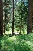 Image result for Alta Lake Camping