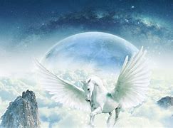 Image result for white unicorns