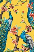 Image result for Peacock Wallpaper for Walls