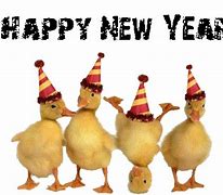 Image result for Happy New Year Animal Meme