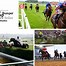 Image result for Types of Horse Races
