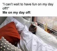Image result for Weirdly Relatable Things