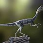Image result for small dinosaurs