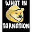 Image result for What in Tarnation Meme