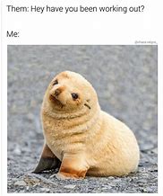 Image result for Adorable Baby Animal Memes