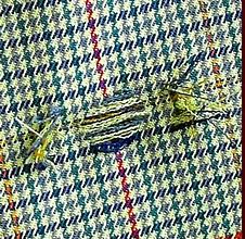 Image result for Invisible Mending On Patterned Fabric