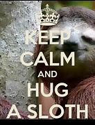 Image result for Sloth Hugs Meme