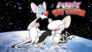 Image result for Pinky and the Brain Movie