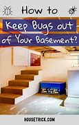 Image result for basements bug prevent