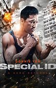 Image result for Donnie Yen Martial Arts Movies