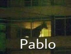 Image result for Pablo Cow Meme