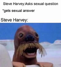Image result for Funny Steve Memes